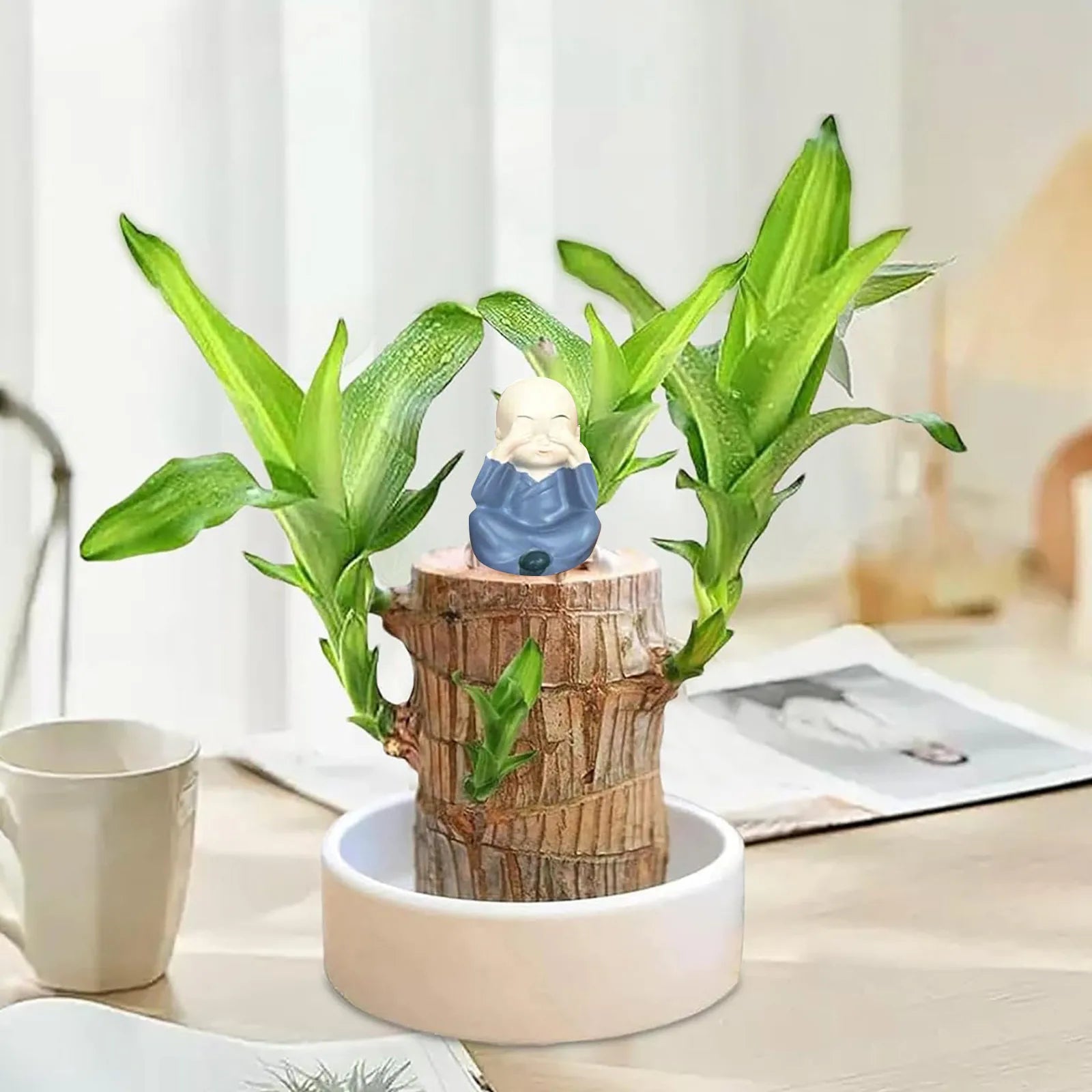 LuckyBamboo™ | Laat geluk jou kant op komen