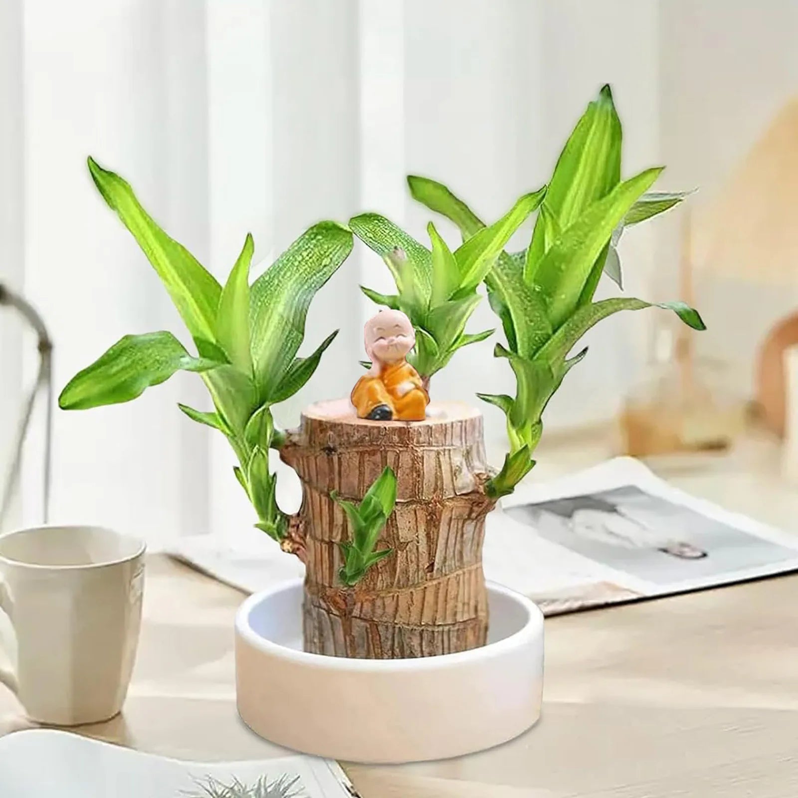 LuckyBamboo™ | Laat geluk jou kant op komen