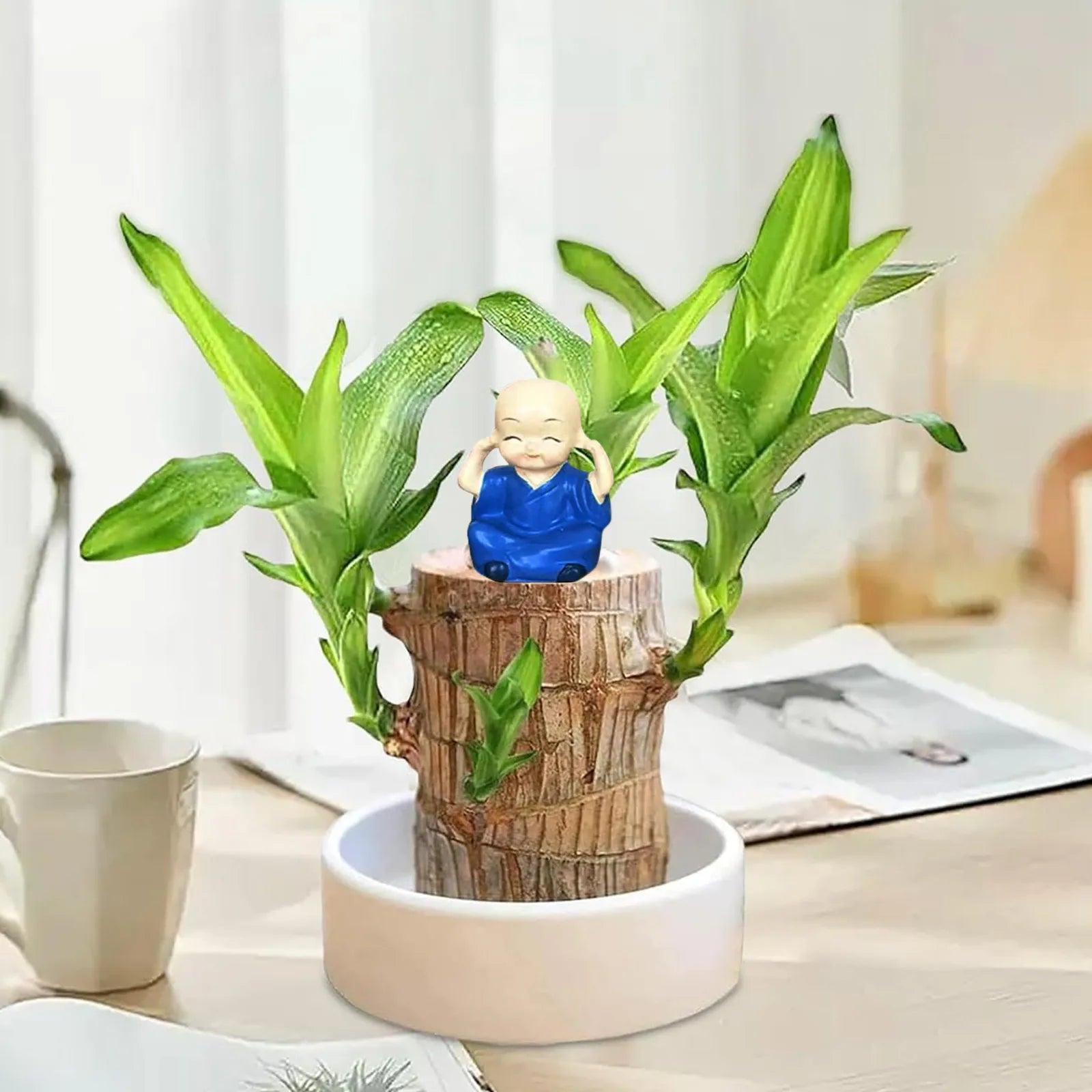 LuckyBamboo™ | Laat geluk jou kant op komen